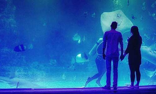 Гранд Аквариум и Зоопарк в Хургаде