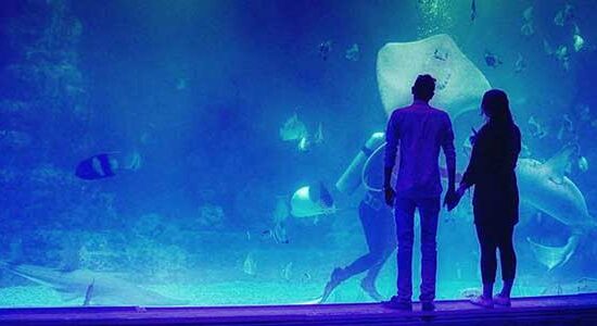 Гранд Аквариум и Зоопарк в Хургаде