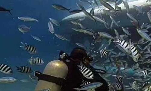 Подводная лодка Синдбад