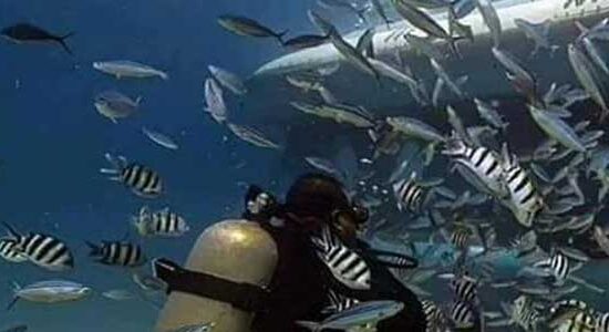 Подводная лодка Синдбад