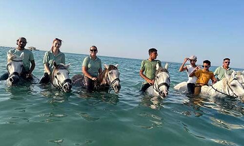 Прогулка на лошадях с купанием в море