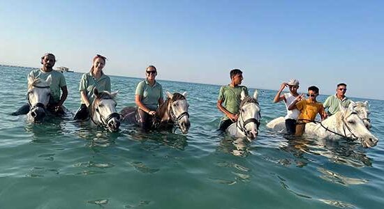 Прогулка на лошадях с купанием в море