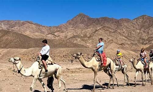 Wadi EL Weshwash – Затерянная Земля