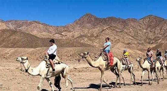 Wadi EL Weshwash – Затерянная Земля