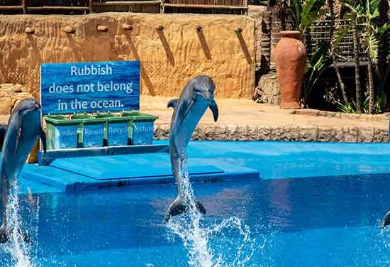 Дельфинарий в Хургаде