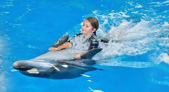 Купания с дельфинами в Хургаде