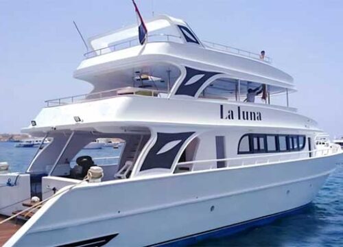 Аренда Яхты в Шарме (индивидуально)